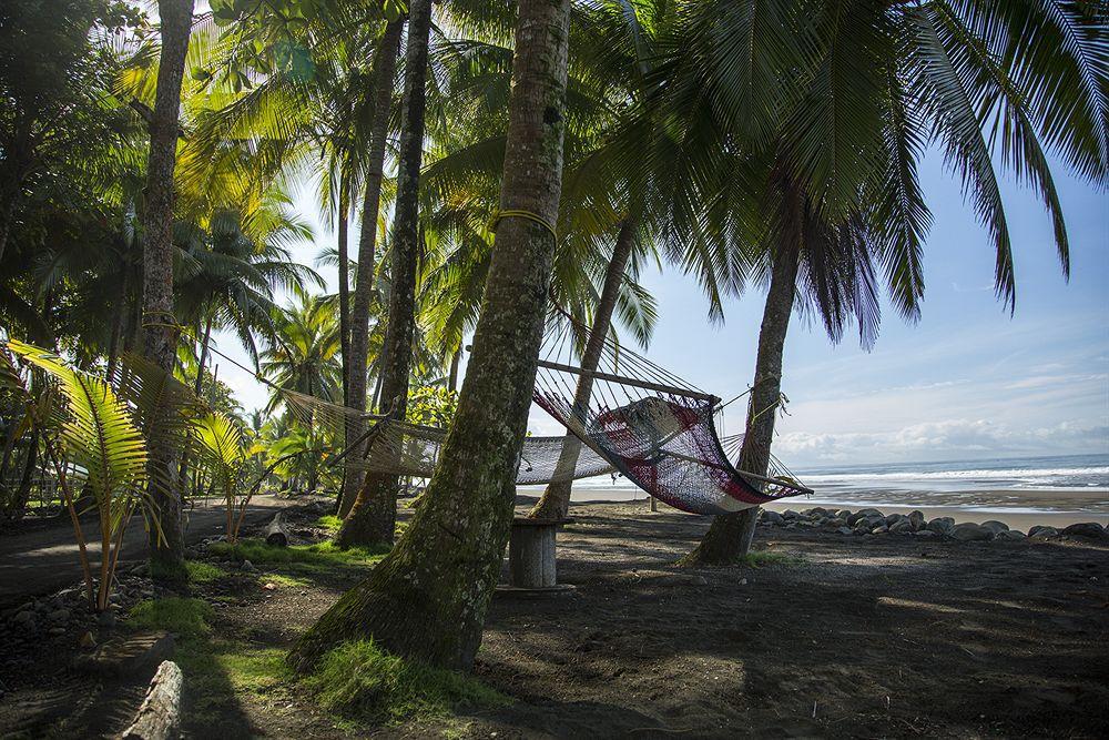 Clandestino Beach Resort Parrita Zewnętrze zdjęcie