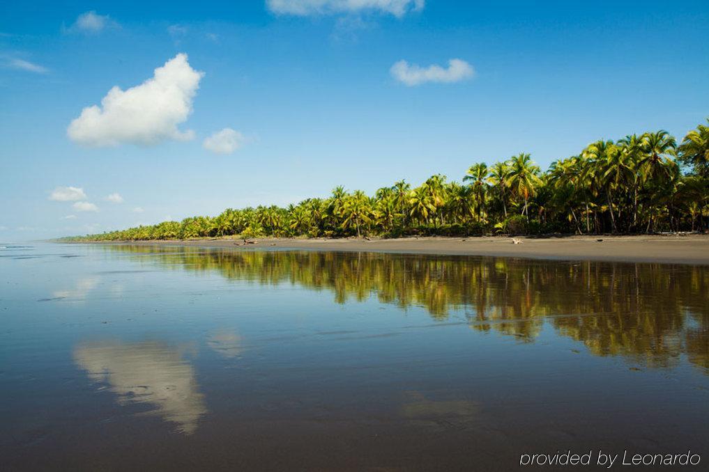 Clandestino Beach Resort Parrita Udogodnienia zdjęcie