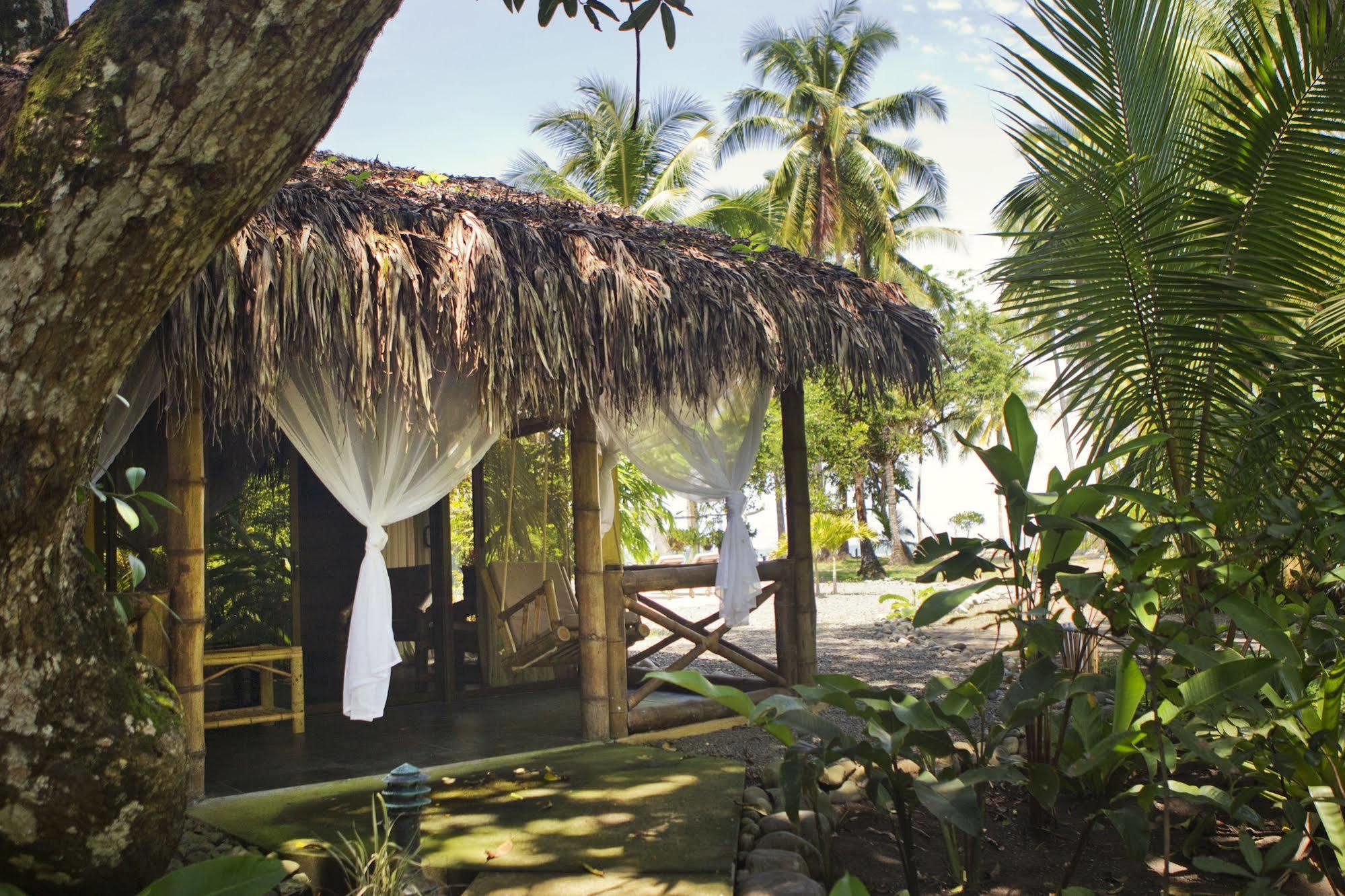Clandestino Beach Resort Parrita Zewnętrze zdjęcie