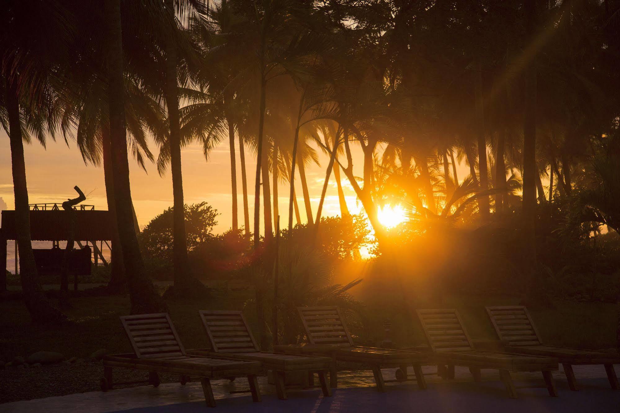 Clandestino Beach Resort Parrita Zewnętrze zdjęcie