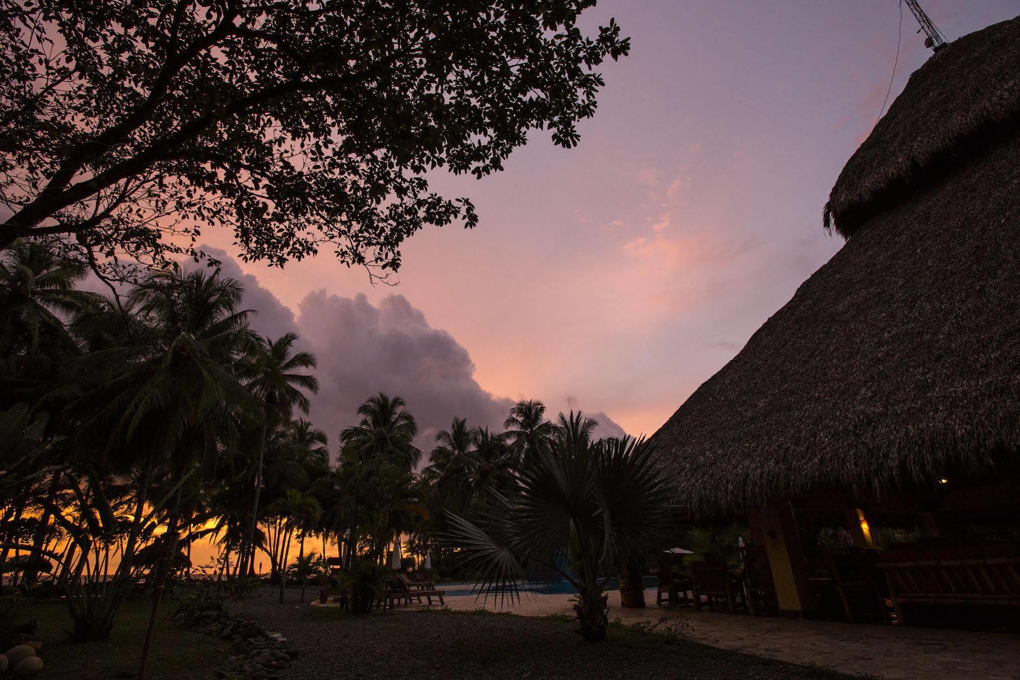 Clandestino Beach Resort Parrita Zewnętrze zdjęcie