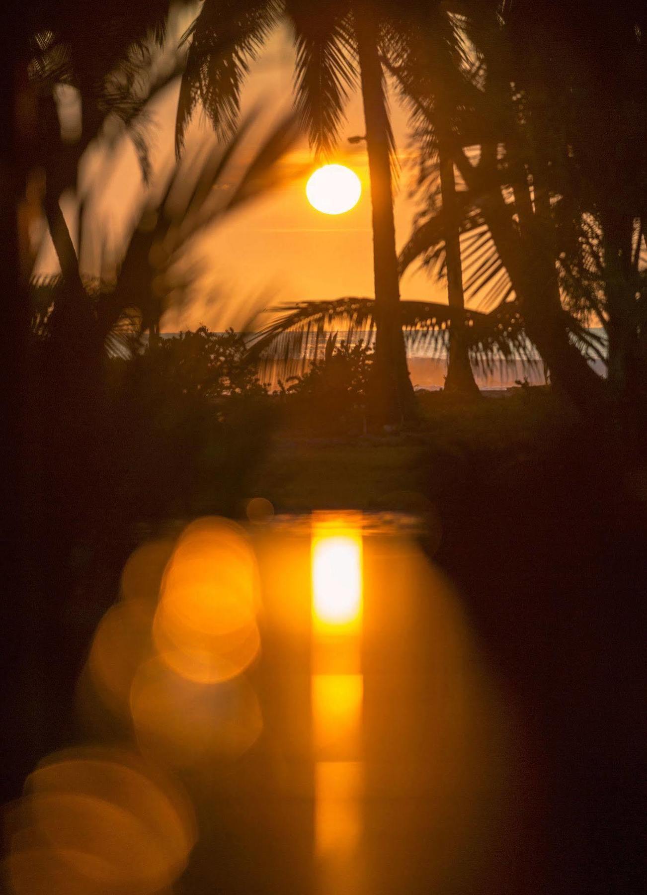 Clandestino Beach Resort Parrita Zewnętrze zdjęcie