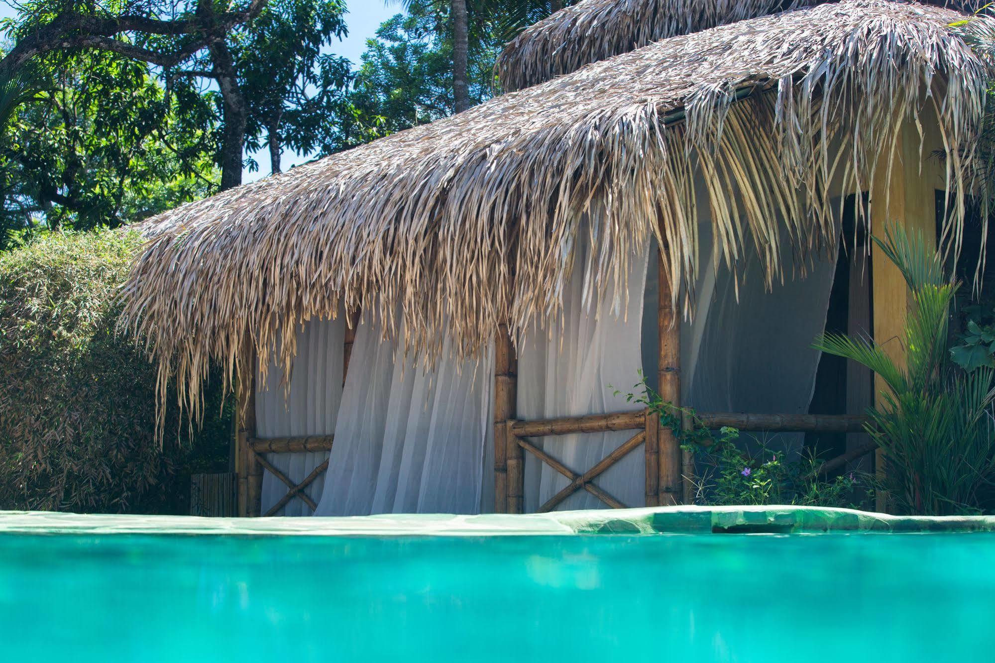 Clandestino Beach Resort Parrita Zewnętrze zdjęcie