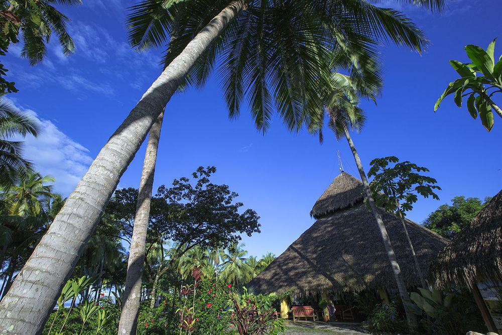 Clandestino Beach Resort Parrita Zewnętrze zdjęcie